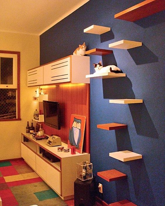 espaço para pet - caminho na parede para gatos