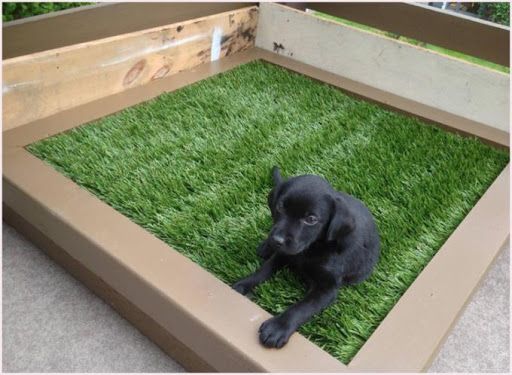 espaço para pet - grama sintética